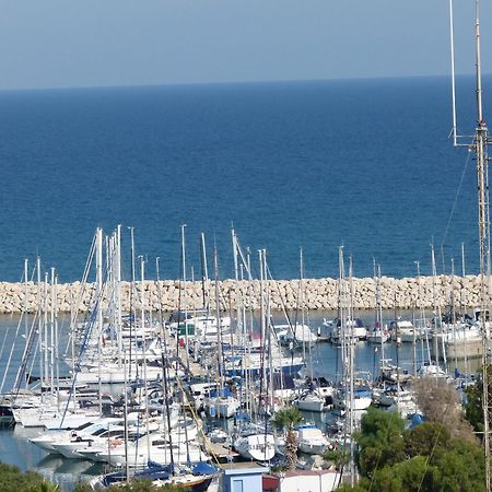 Aphrodite Heights Larnaca Zewnętrze zdjęcie